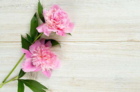 peony flowers on wooden surfaceの写真素材