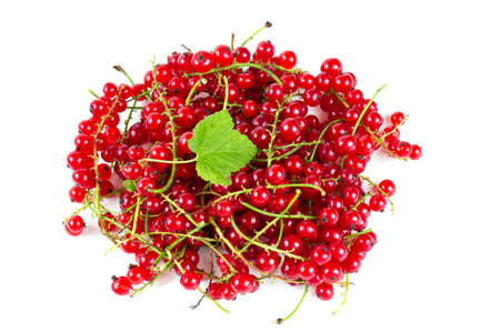 red currant berries