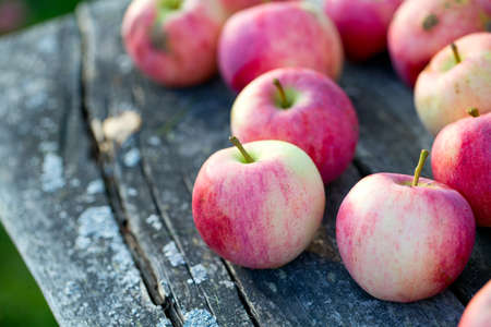 fresh red apples on wooden surface