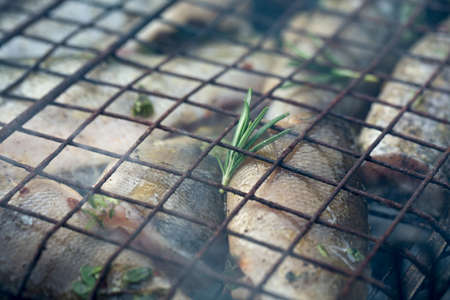 grilled fishの写真素材