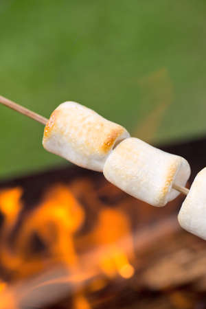 Roasted Marshmallowsの写真素材
