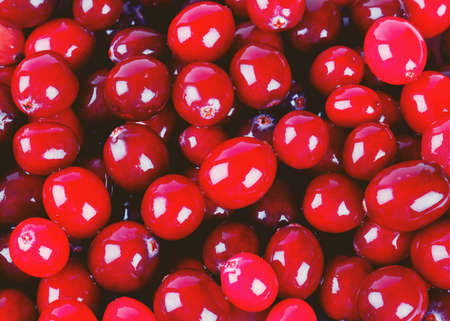 cranberriesの写真素材