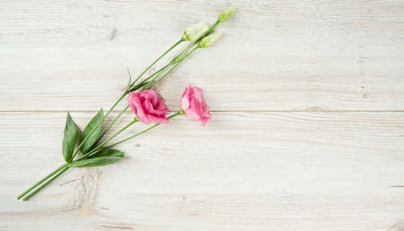 eustoma flower on wooden surfaceの写真素材