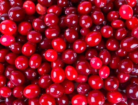 cranberriesの写真素材