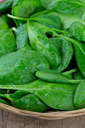 spinach in a basket on wooden surfaceの写真素材