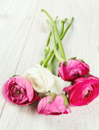 white and pink buttercups on wooden surfaceの写真素材