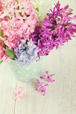 colorful hyacinth flowers in a polka dot cupの写真素材