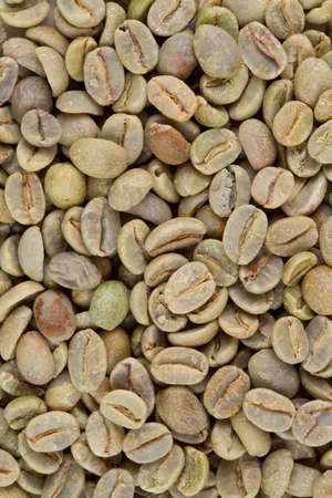 green coffee backgroundの写真素材