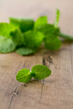 fresh mint leaves on wooden surfaceの写真素材