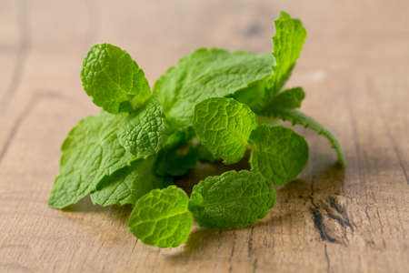 fresh mint leaves on wooden surfaceの写真素材