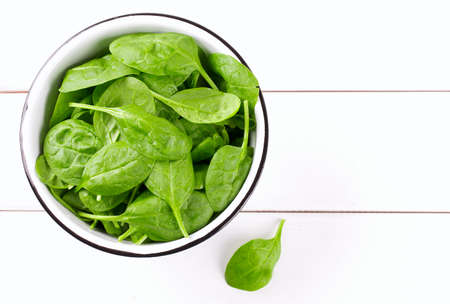 fresh spinach leavesの写真素材
