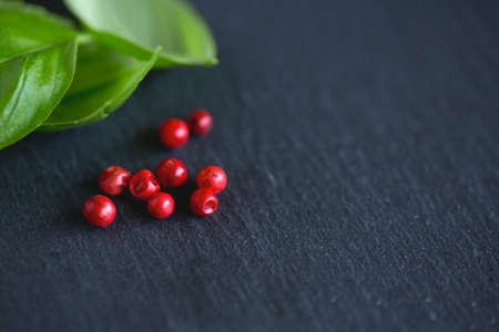 basil and pink peppercorns on black backgroundの写真素材