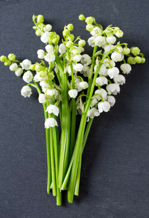 lily of the valley on black stone background