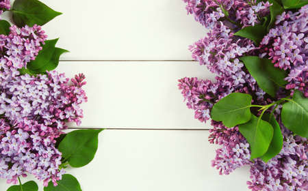 lilac on wooden surfaceの写真素材