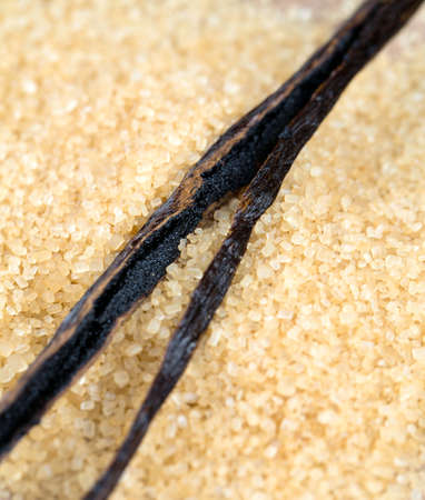 vanilla pods and brown cane sugarの写真素材