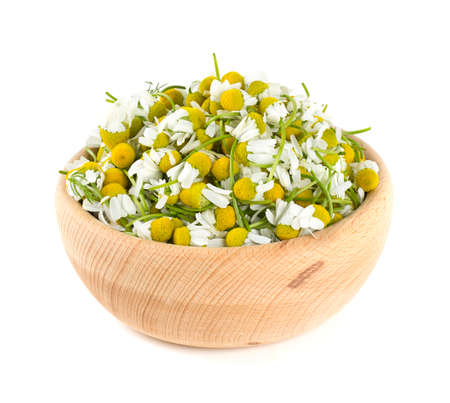 chamomile flowers in a bowlの写真素材