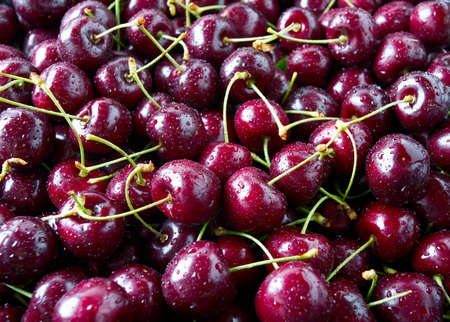 cherries backgroundの写真素材