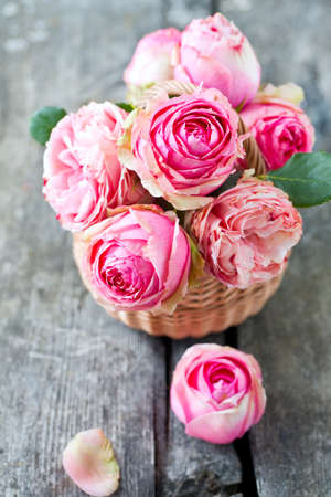 pink roses on wooden surfaceの写真素材