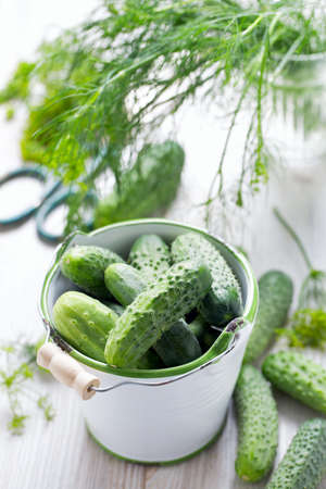 fresh cucumbers on wooden tableの写真素材
