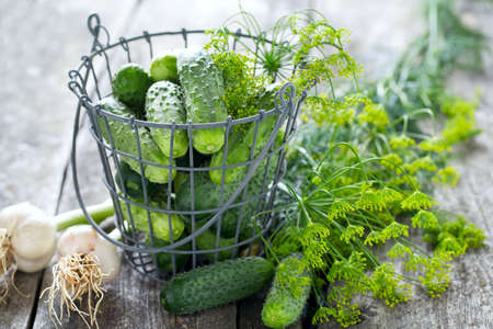 fresh cucumbers on wooden tableの写真素材
