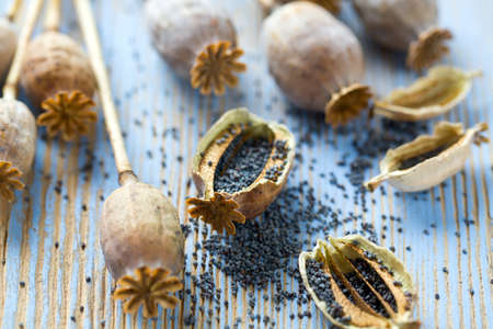 poppy seeds on wooden surfaceの写真素材
