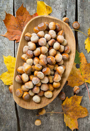 hazelnuts and autumn leavesの写真素材