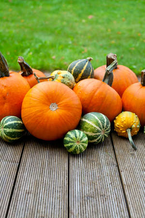 pumpkin backgroundの写真素材