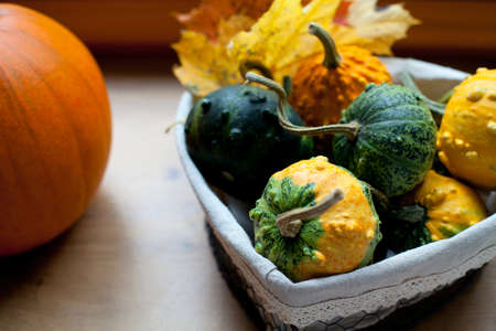 colorful pumpkins on window-sill