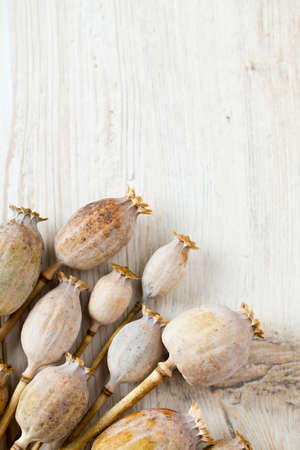 poppy heads on wooden surfaceの写真素材