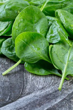 fresh spinach leavesの写真素材