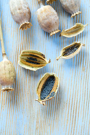 poppy seeds on wooden surfaceの写真素材