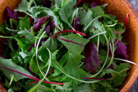 lettuce mixの写真素材