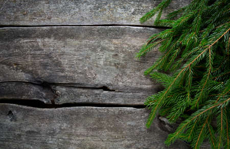 fir tree branch on wooden surface