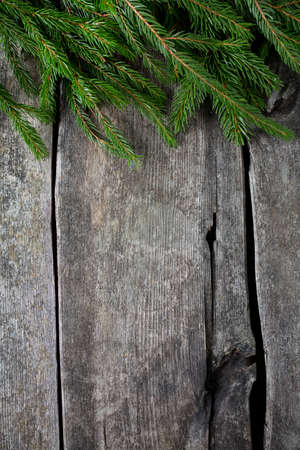 fir tree branch on wooden surfaceの写真素材