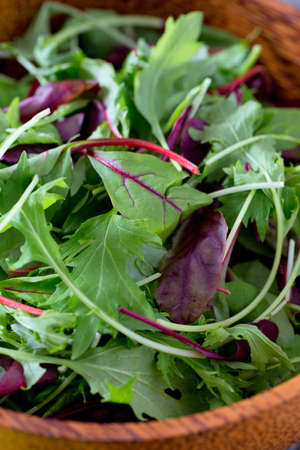 lettuce mixの写真素材