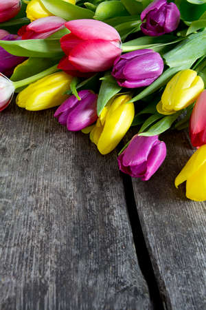 colorful tulips on wooden surfaceの写真素材