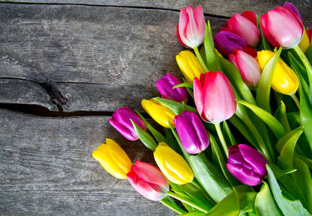 colorful tulips on wooden surfaceの写真素材