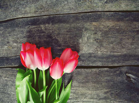 pink tulips on wooden surfaceの写真素材