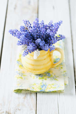 Blue muscari flowers (Grape hyacinth) on wooden backgroundの写真素材