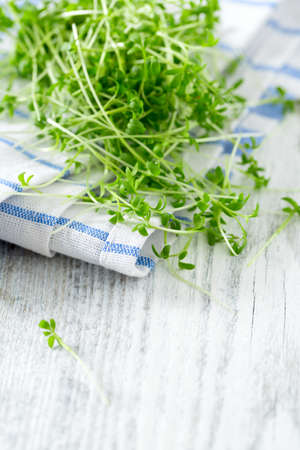 garden cress ready to be eatenの写真素材