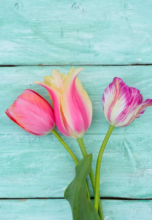 colorful tulips on wooden surface