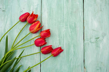 colorful tulips on wooden surfaceの写真素材