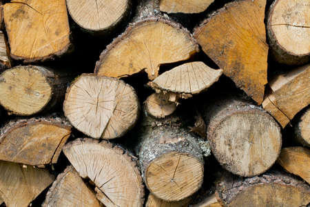 fire logs