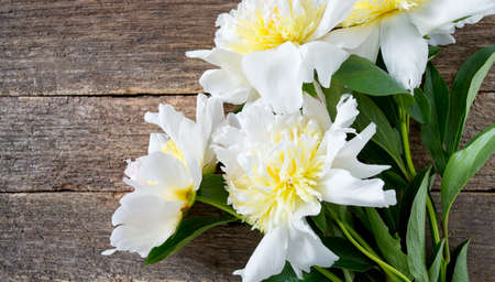 peonies on wooden surfaceの写真素材