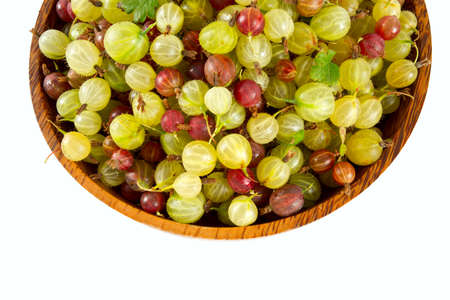 gooseberries on white backgroundの写真素材