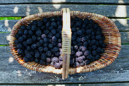 blackberries in basket on wooden surfaceの写真素材