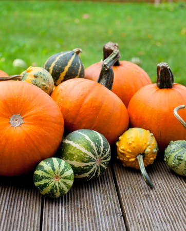 pumpkin backgroundの写真素材