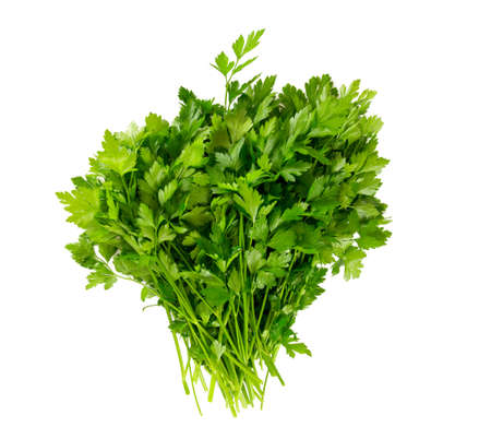 bunch of fresh parsley leafs isolated on whiteの写真素材