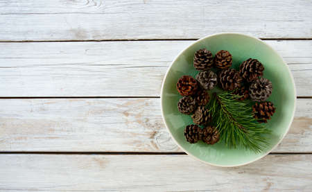 pine cones with branch on a white backgroundの写真素材