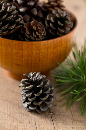 pine cones and needlesの写真素材